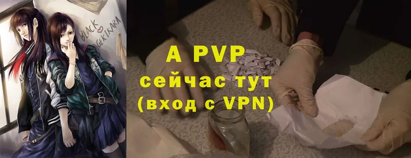 Alpha PVP СК Кингисепп