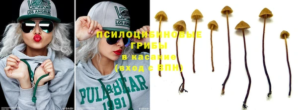 мдпв Нязепетровск