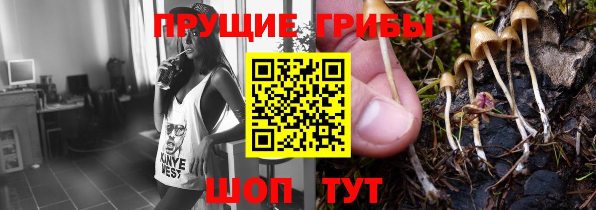 Кингисепп  Галлюциногенные грибы ЛСД  Вход с VPN 