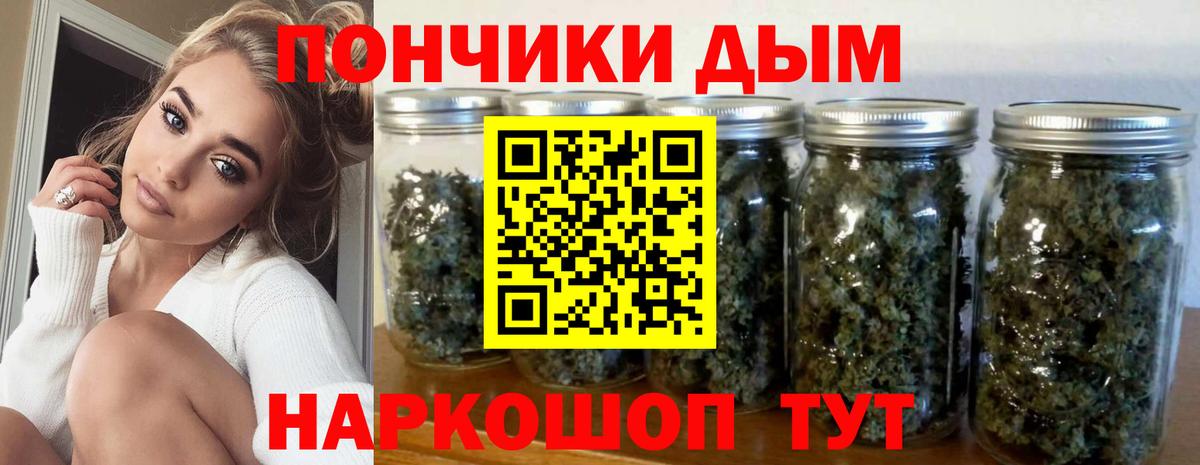 Бошки Шишки сатива  Каннабис марихуана  Канабис планчик  Кингисепп  Конопля сатива  Вход с VPN 